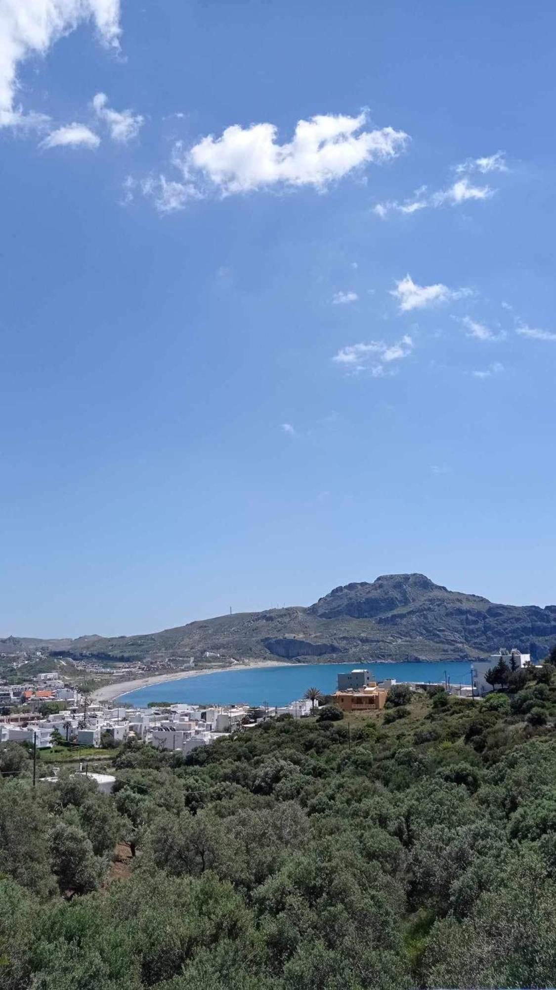 Olive Grove Apartment Plakias Exterior foto