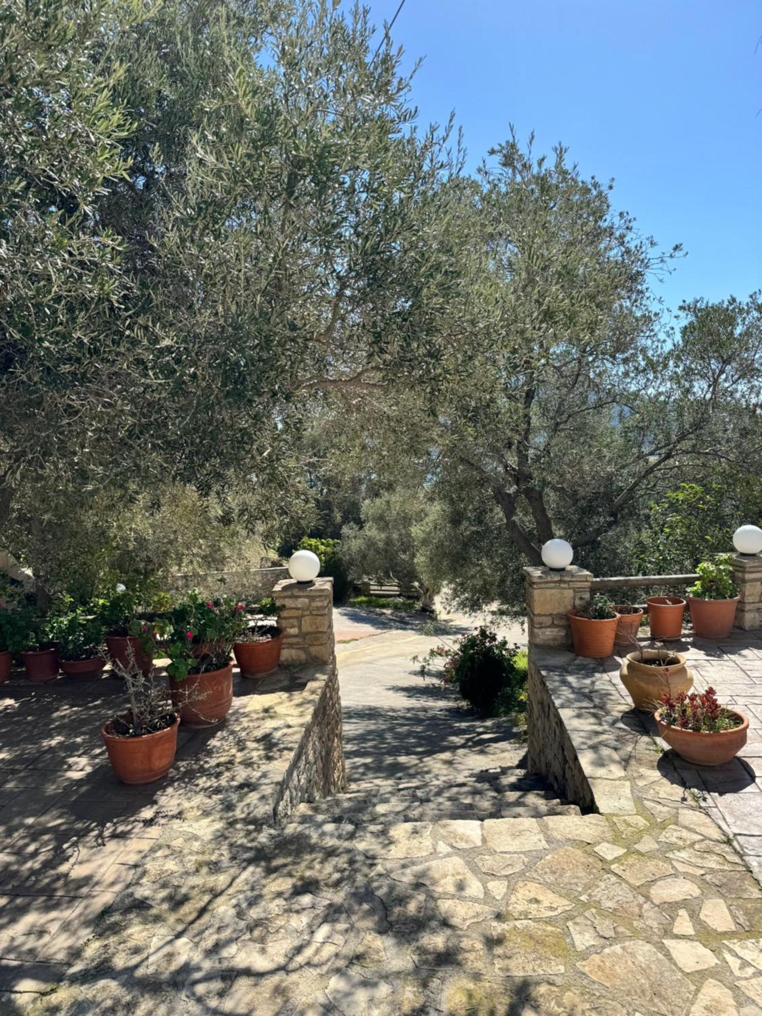 Olive Grove Apartment Plakias Exterior foto
